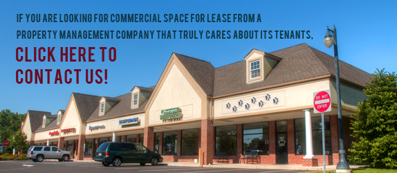 Contact Us Today